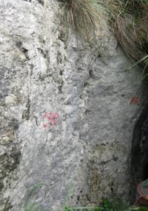 CAMPAÑA DE VERANO 2011