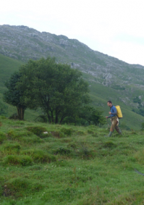 CAMPAÑA DE VERANO 2011